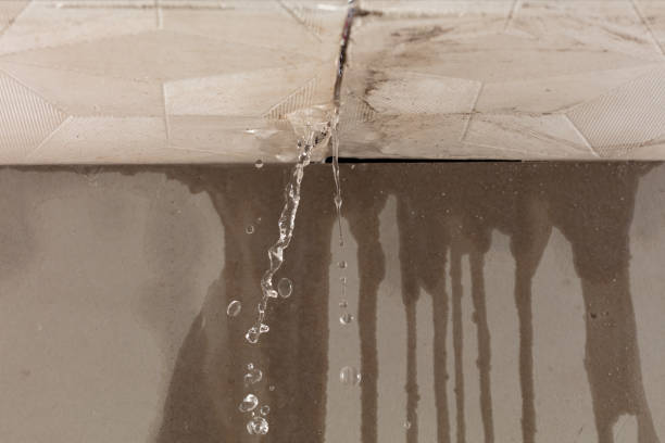 Professional Water Extraction technician working in Malta, IL